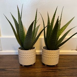 Faux aloe plants (2)